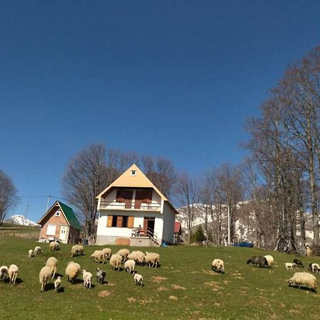 Žabljak Kolibriヴィラ エクステリア 写真