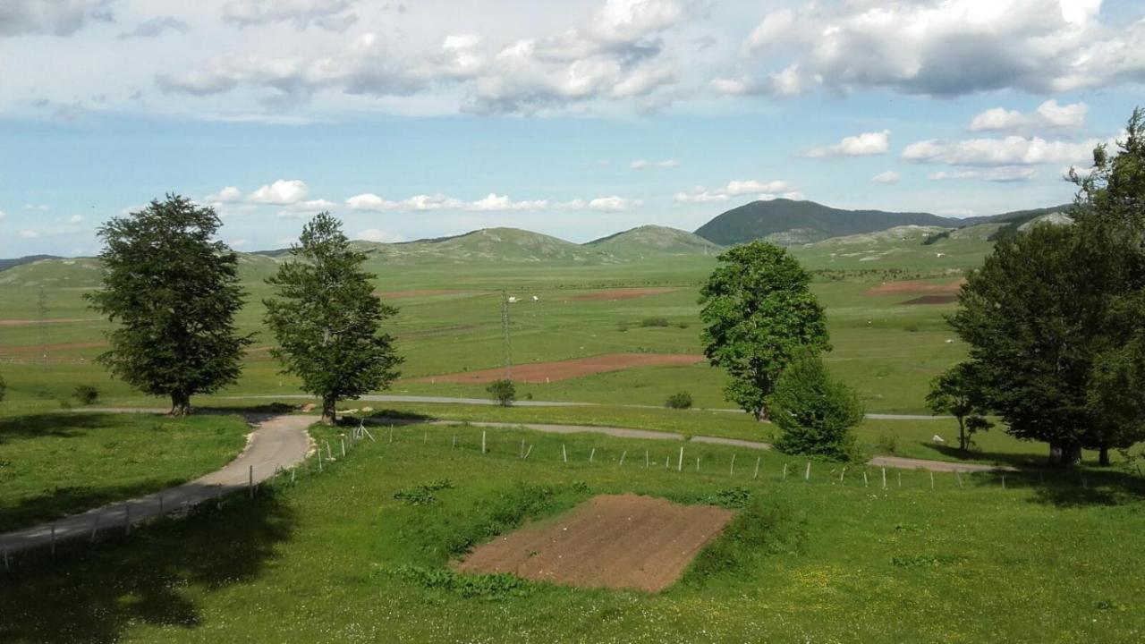 Žabljak Kolibriヴィラ エクステリア 写真