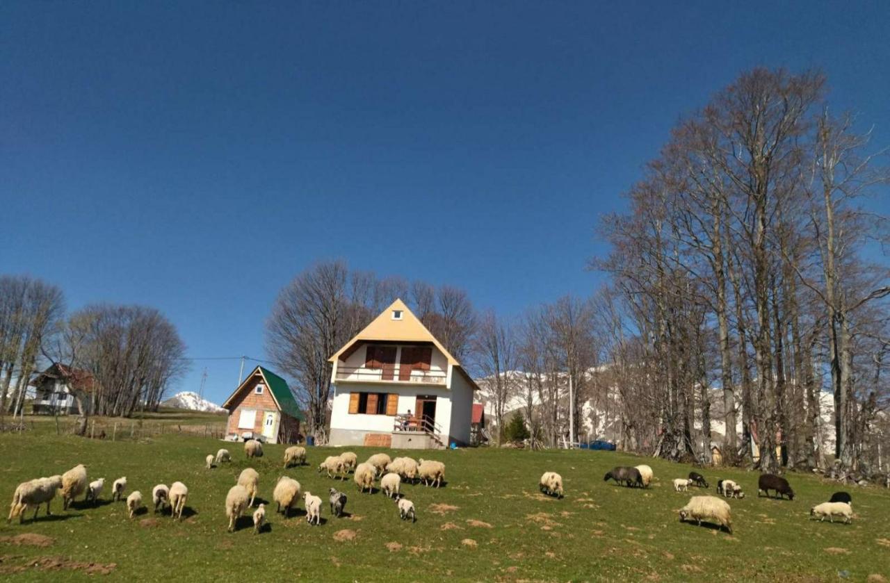 Žabljak Kolibriヴィラ エクステリア 写真