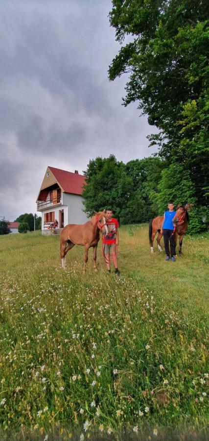 Žabljak Kolibriヴィラ エクステリア 写真
